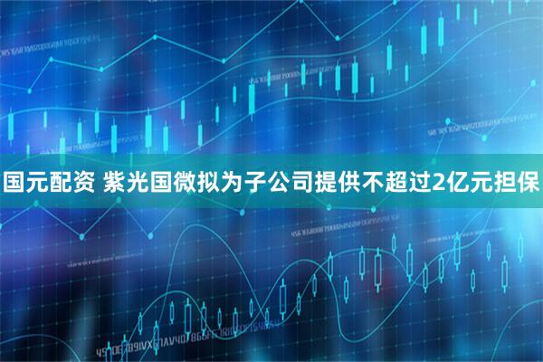 国元配资 紫光国微拟为子公司提供不超过2亿元担保
