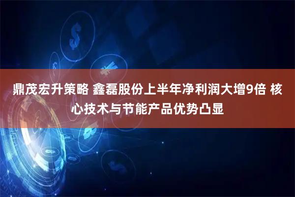 鼎茂宏升策略 鑫磊股份上半年净利润大增9倍 核心技术与节能产品优势凸显