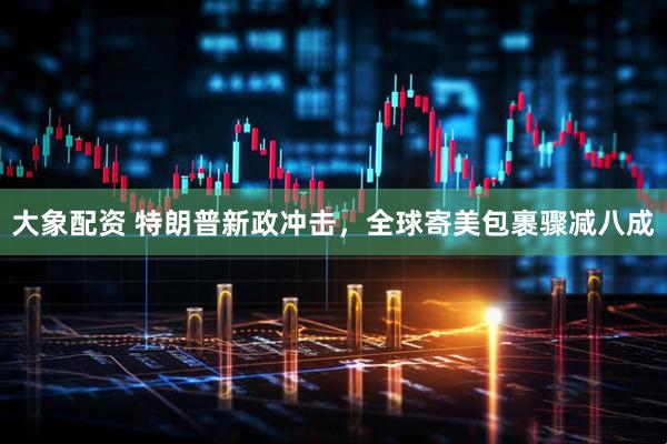 大象配资 特朗普新政冲击，全球寄美包裹骤减八成