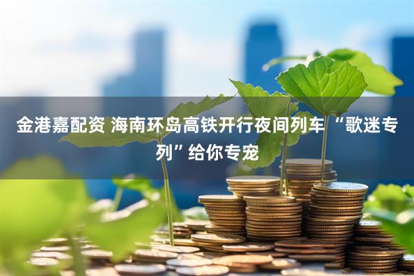 金港嘉配资 海南环岛高铁开行夜间列车 “歌迷专列”给你专宠
