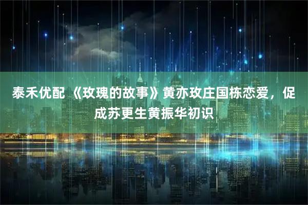 泰禾优配 《玫瑰的故事》黄亦玫庄国栋恋爱，促成苏更生黄振华初识